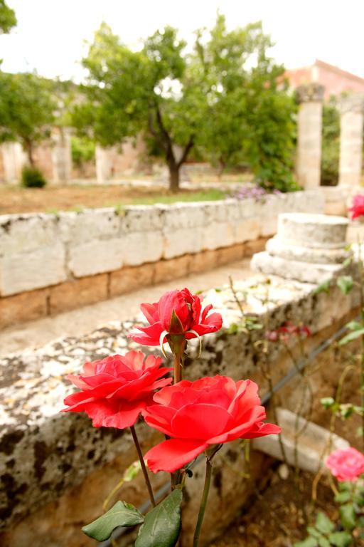 Masseria Curatori モノーポリ エクステリア 写真