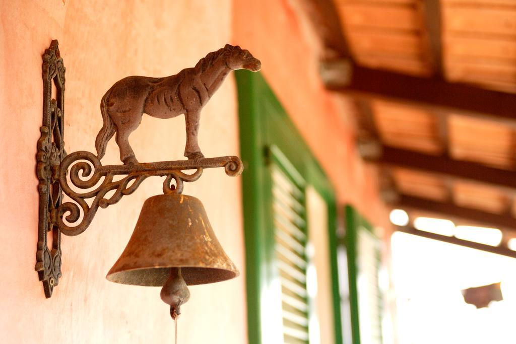 Masseria Curatori モノーポリ エクステリア 写真