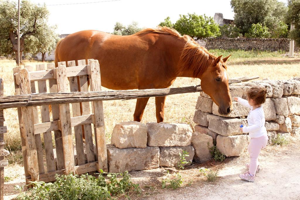 Masseria Curatori モノーポリ エクステリア 写真